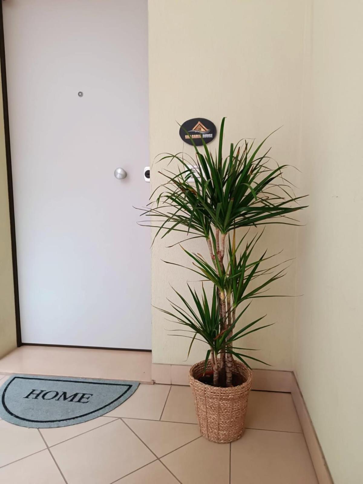 Apartamento San Carlo House Castel Guelfo Di Bologna Exterior foto